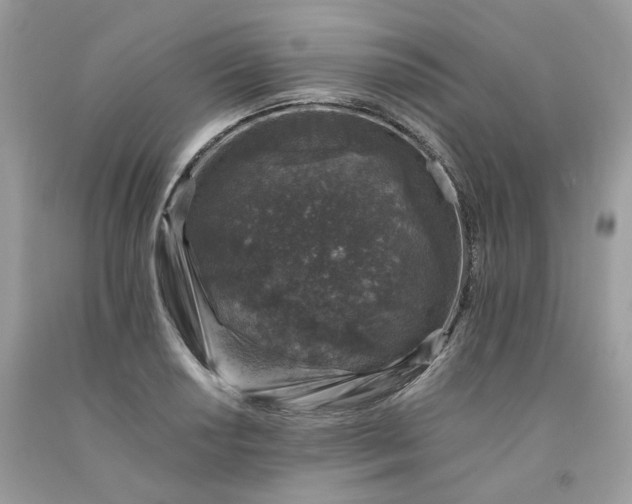 X0000091651034200709060955