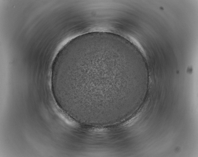 X0000091651035200709060955