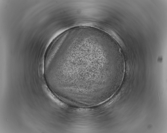 X0000091651036200709060955