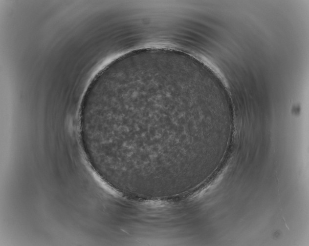 X0000091651037200709060955