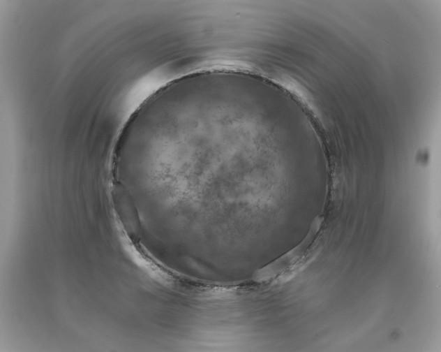 X0000091651038200709060955