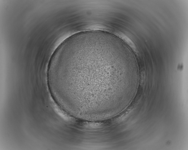 X0000091651039200709060955