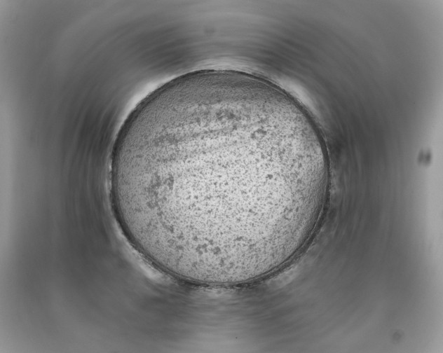 X0000091651040200709060955