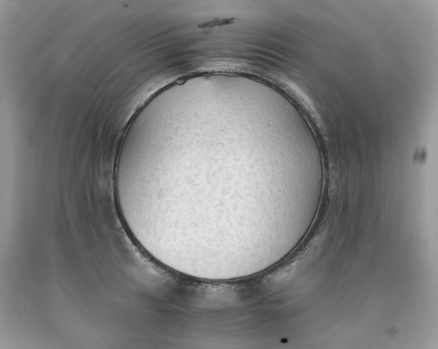 X0000091651041200709060955