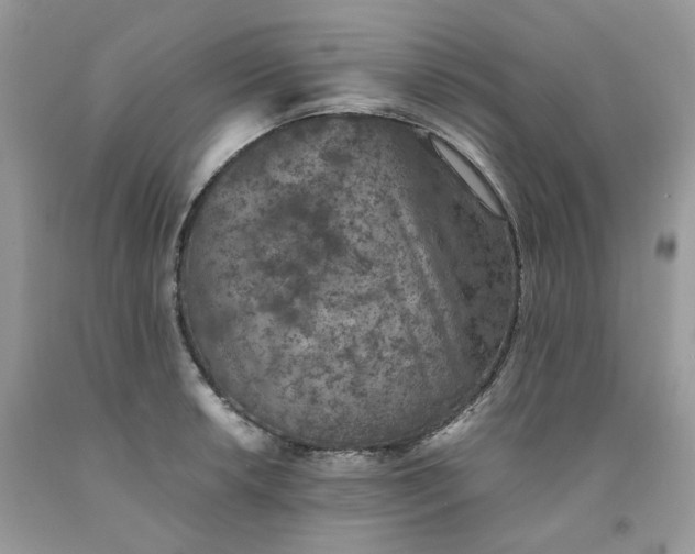 X0000091651042200709060955