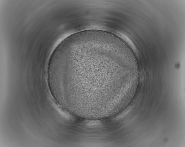 X0000091651043200709060955