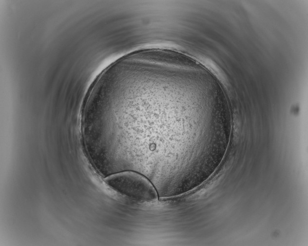 X0000091651044200709060955