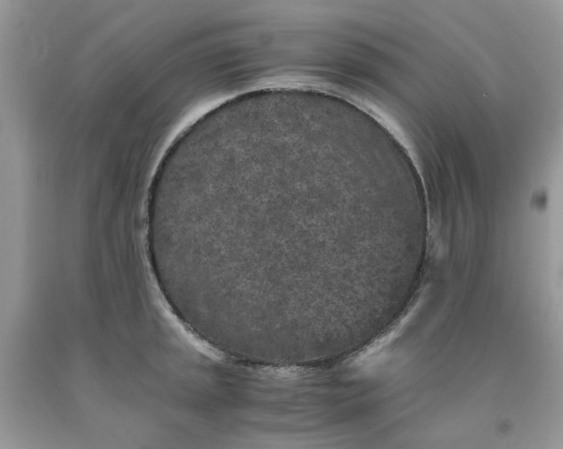 X0000091651045200709060955