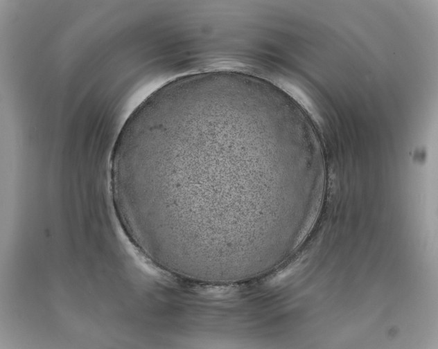 X0000091651047200709060955