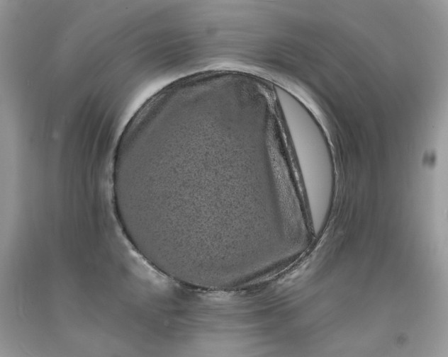 X0000091651048200709060955