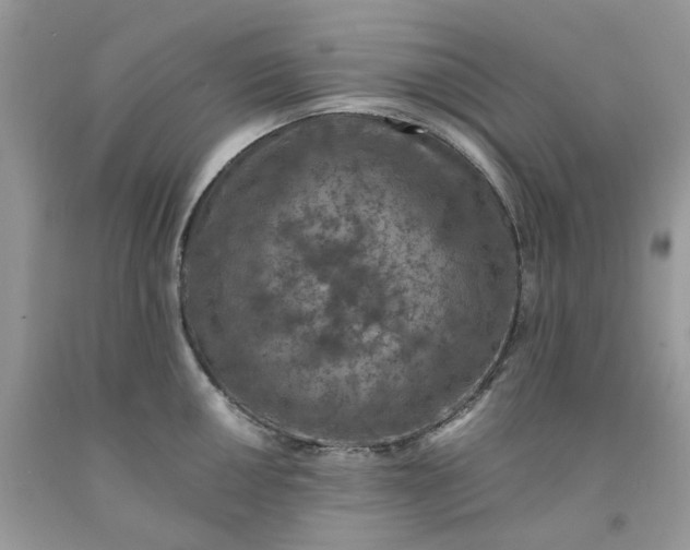 X0000091651050200709060955