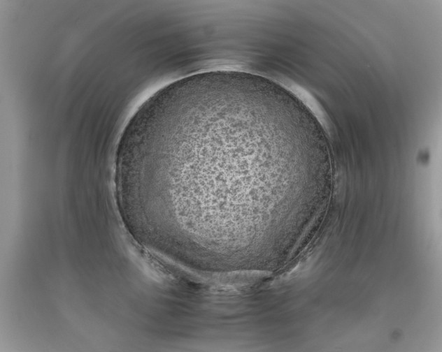 X0000091651051200709060955