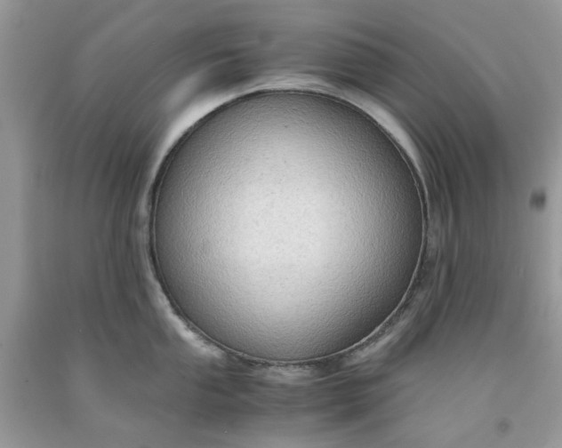 X0000091651053200709060955