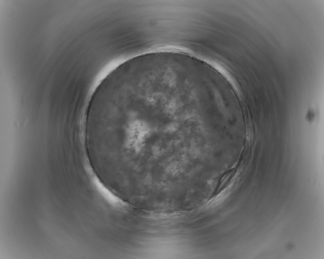 X0000091651054200709060955