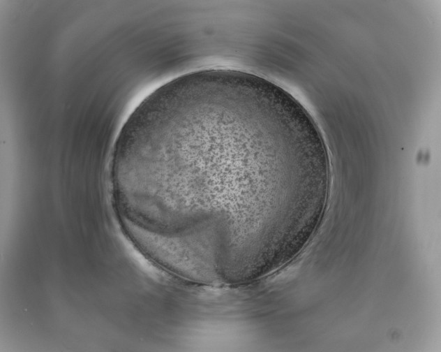 X0000091651056200709060955