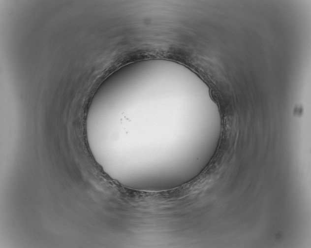 X0000091651057200709060954