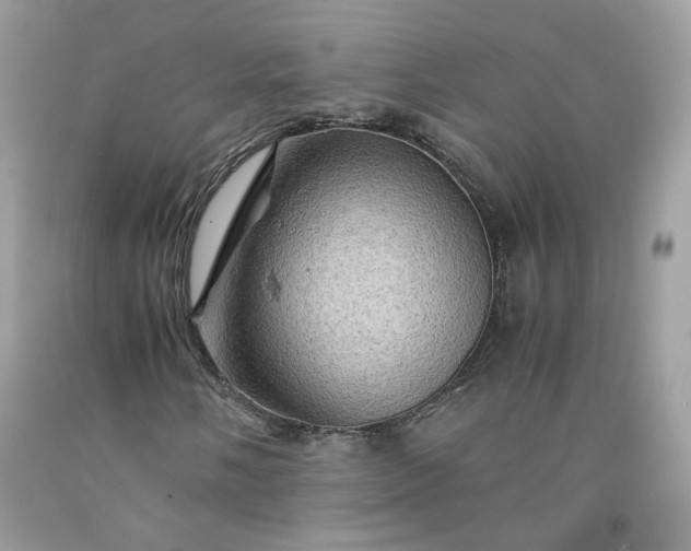 X0000091651058200709060954