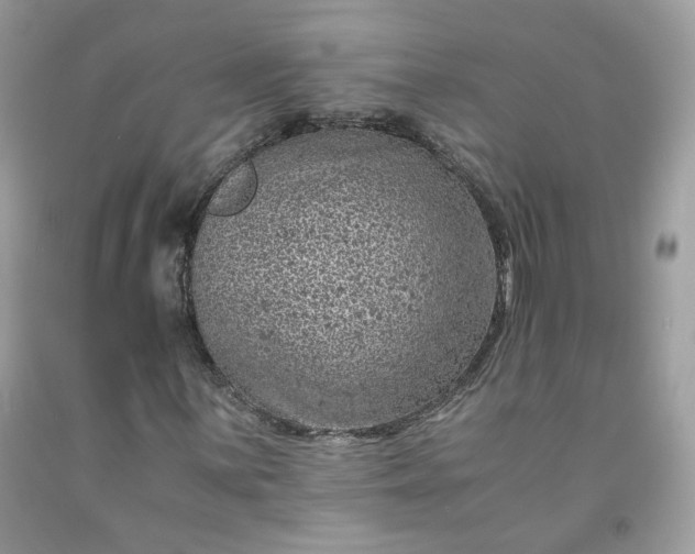 X0000091651059200709060954