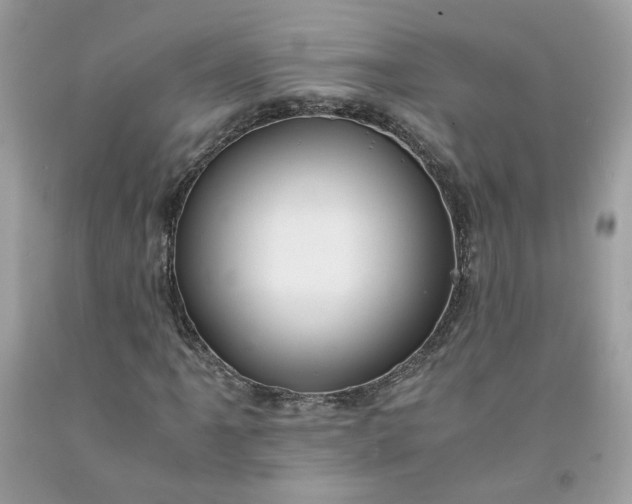 X0000091651061200709060954