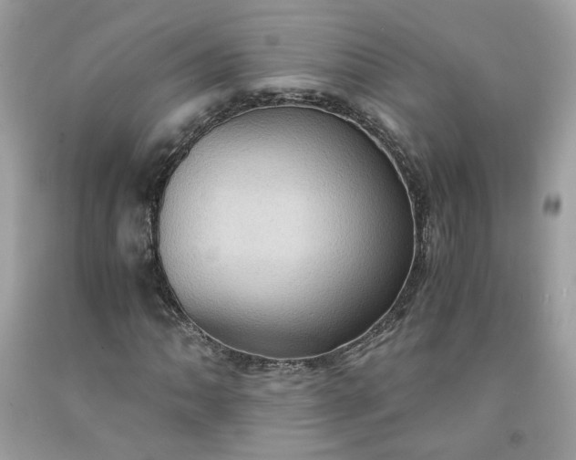 X0000091651062200709060954