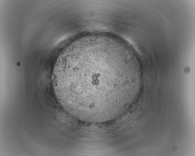 X0000091651063200709060954