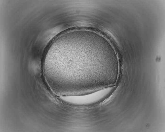 X0000091651065200709060954