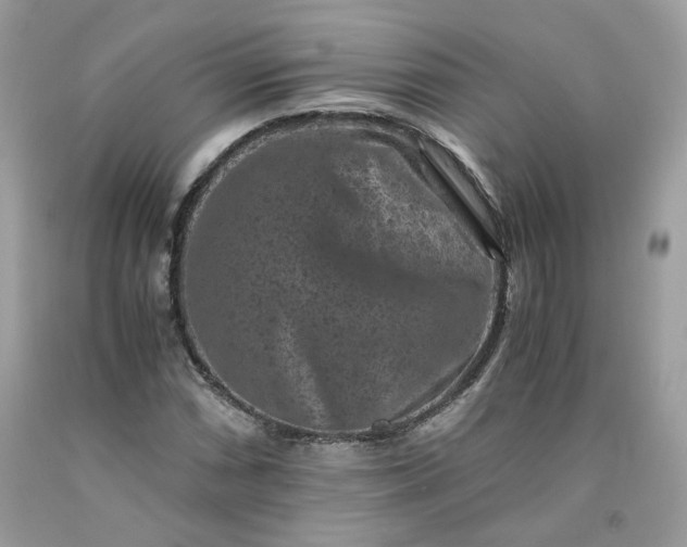 X0000091651066200709060954