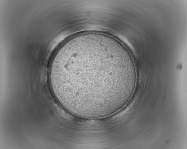 X0000091651067200709060954