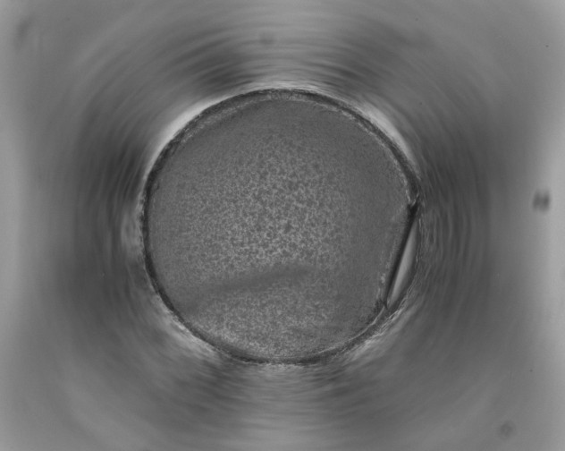 X0000091651068200709060954