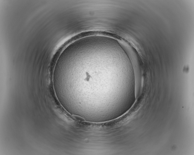 X0000091651069200709060954