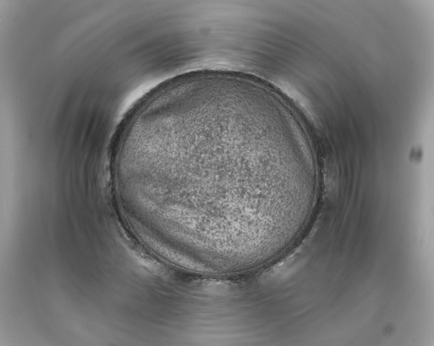 X0000091651070200709060954