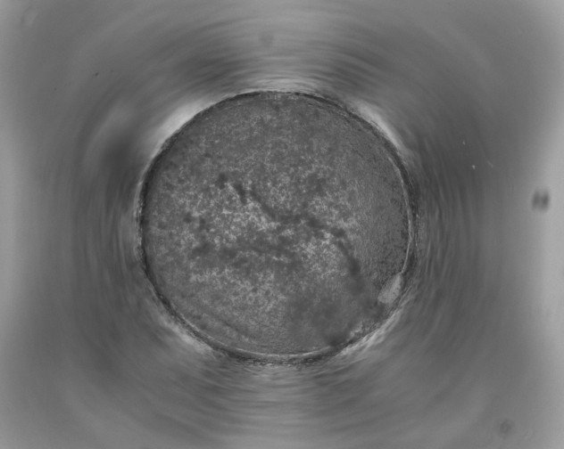 X0000091651071200709060954