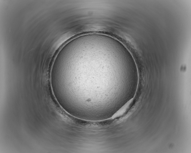 X0000091651073200709060954