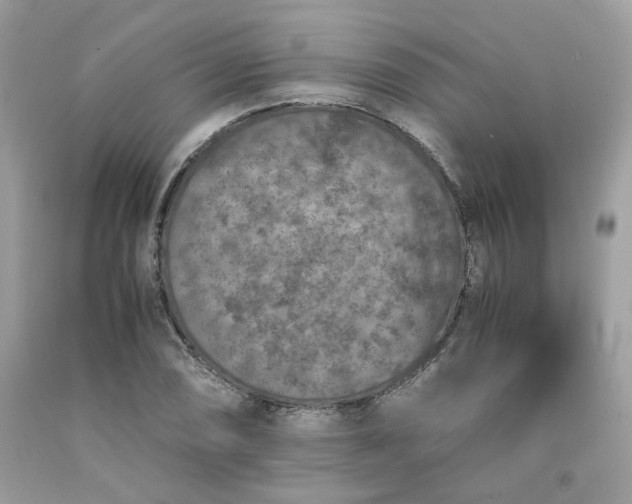 X0000091651074200709060954