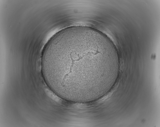 X0000091651075200709060954