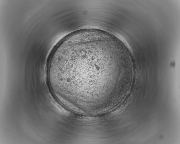 X0000091651076200709060954