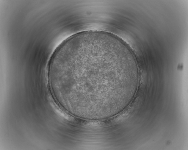 X0000091651078200709060954