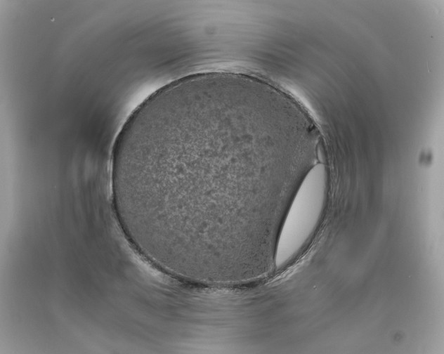 X0000091651079200709060954