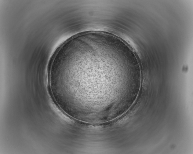 X0000091651080200709060954