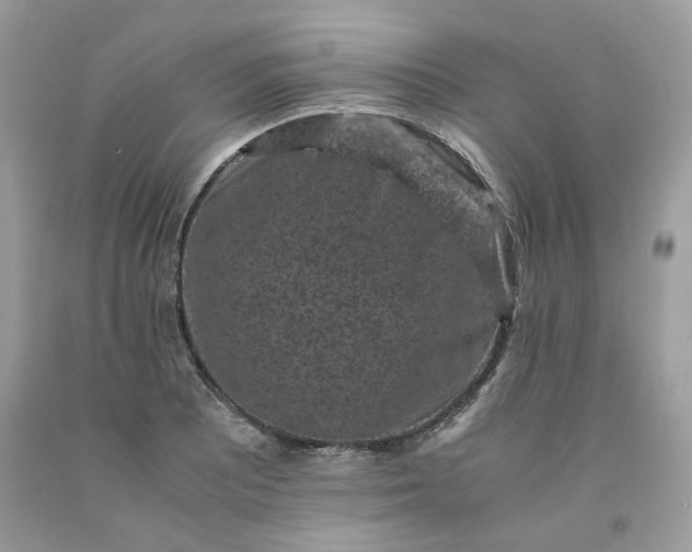 X0000091651081200709060954