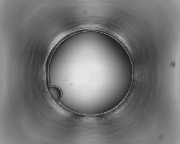 X0000091651082200709060954