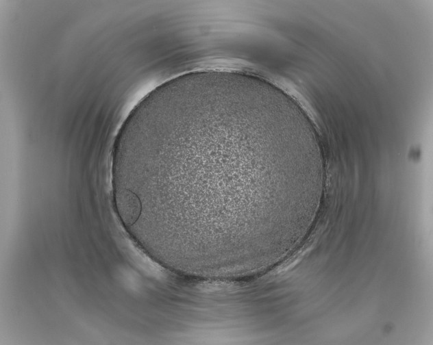 X0000091651083200709060954