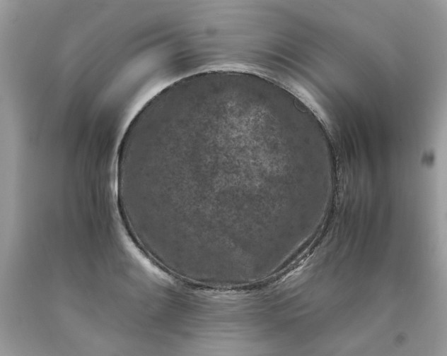 X0000091651084200709060954