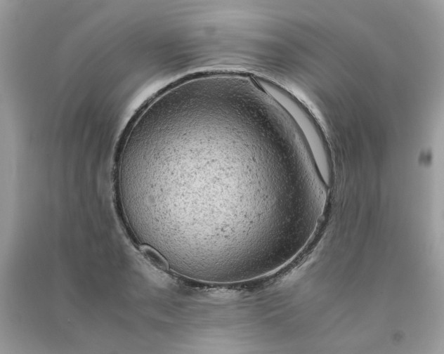 X0000091651085200709060954