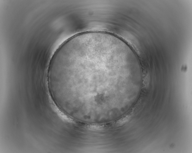 X0000091651086200709060954