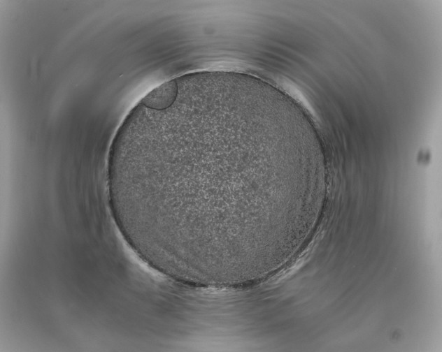 X0000091651087200709060954