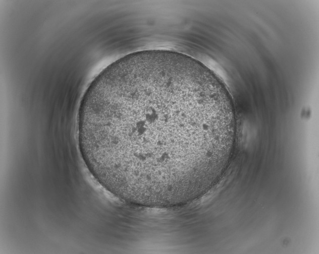 X0000091651088200709060954