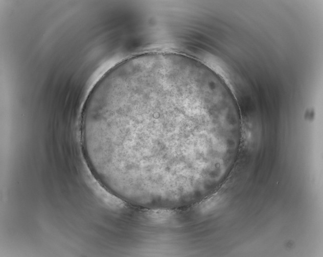 X0000091651090200709060954