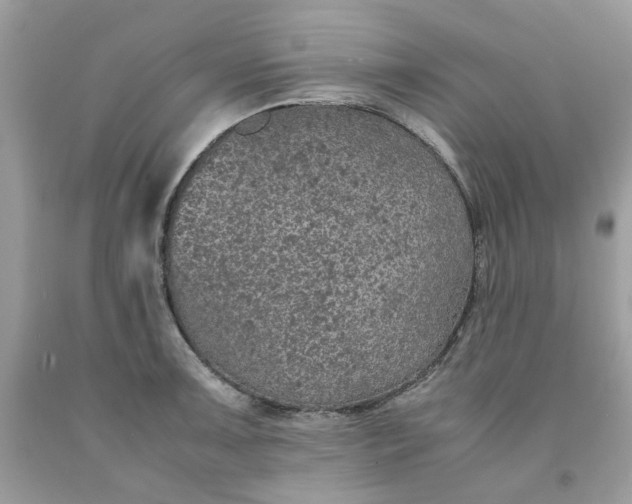 X0000091651091200709060954