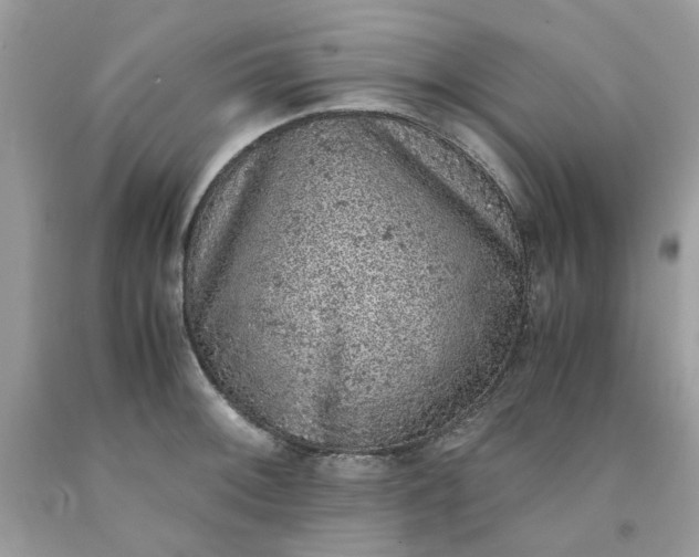 X0000091651092200709060954